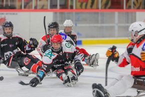 Para-hockey : Grand Poitiers accueille le carré final du championnat de France 2026