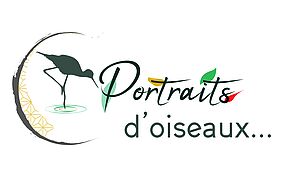 Portraits d'oiseaux Concert paysages sonores et lectures