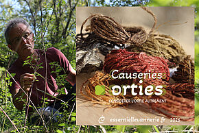 La fibre textile de l'ortie