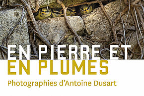 Affiche de l'événement