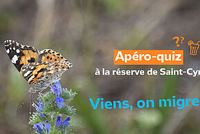 Apéro-quiz : Viens, on migre !