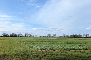 Perspectives agricoles au sud de Grand Poitiers