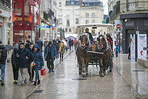 Photo d'une calèche dans le centre-ville de Poitiers