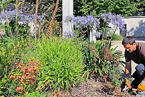 Midi au jardin : Qu'arrive-t-il à nos massifs ?