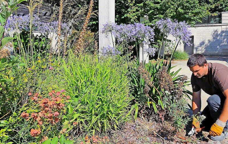 Midi au jardin : Qu'arrive-t-il à nos massifs ?
