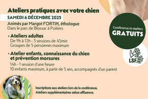 Ateliers pratiques avec votre chien